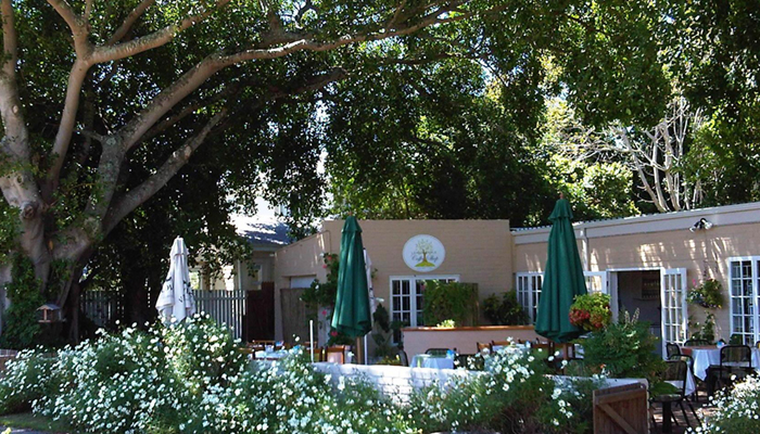 Image of exterior and garden at Nadine’s Corner on Leisure Island