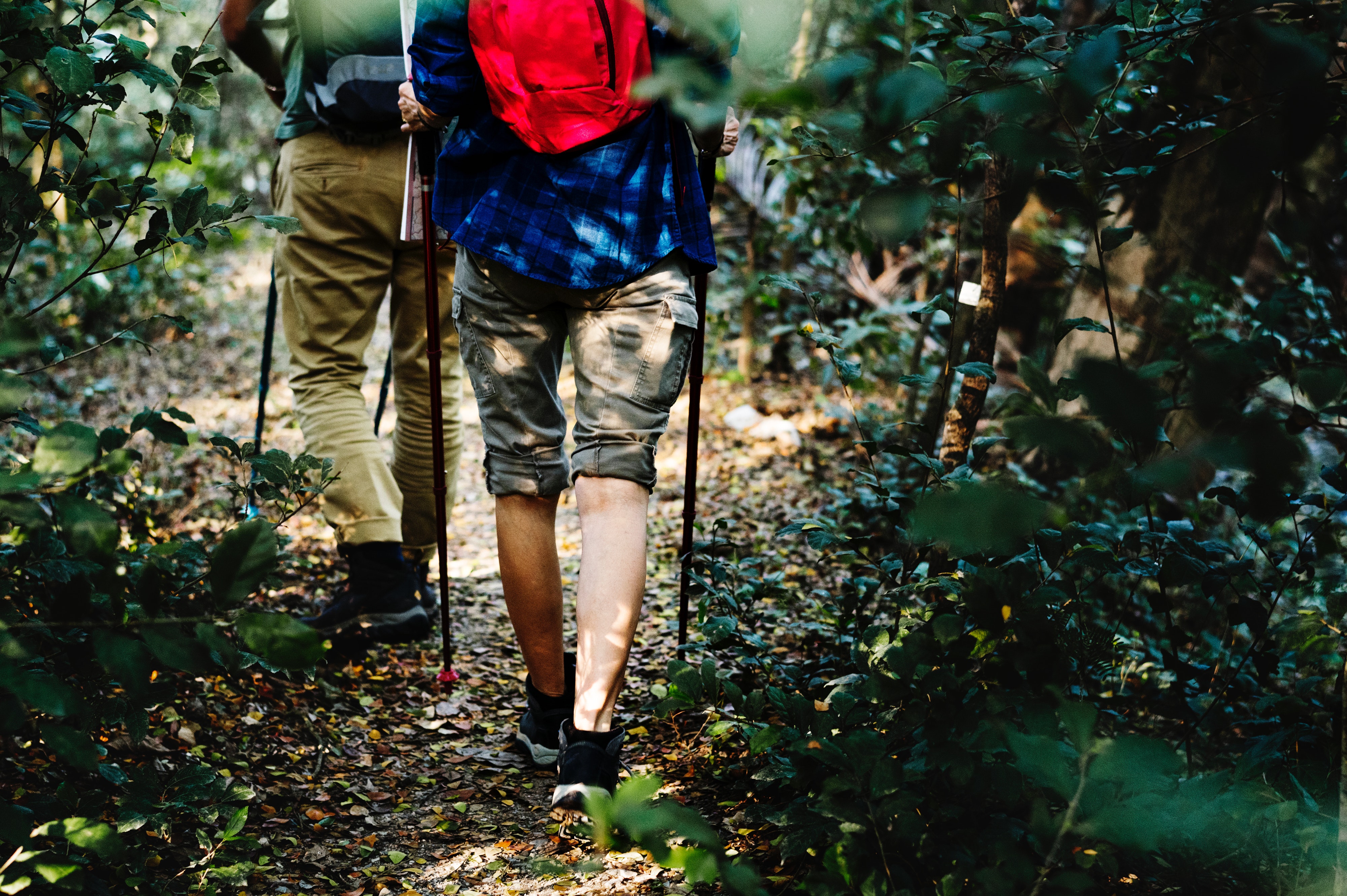Image of two men hiking