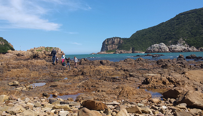 Visitors exploring the rocky shoreline at The Knysna Heads on a clear day
