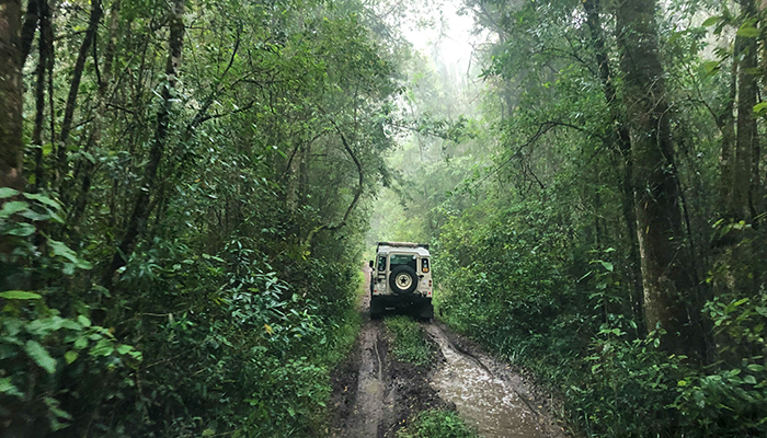 4x4 vehicle driving along a muddy trail through Knysna’s indigenous forest in misty conditions