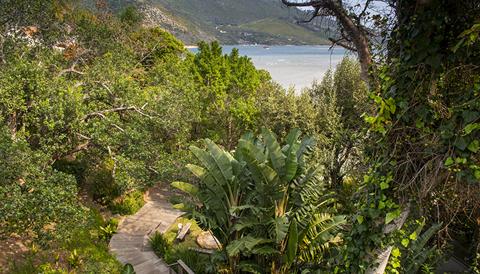 Wooden walkway through lush greenery with views of the Knysna lagoon at Number Eleven
