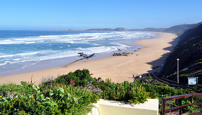 Wide view of Brenton-on-Sea beach with waves, sand, and greenery under a clear blue sky