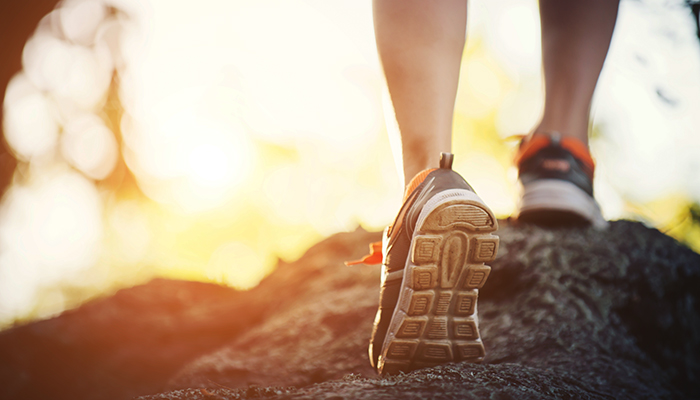 Trail runner stepping onto a sunlit path during a morning run