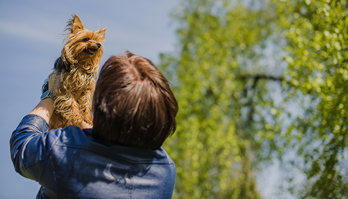 Woman lifting a happy small dog outdoors on a sunny day