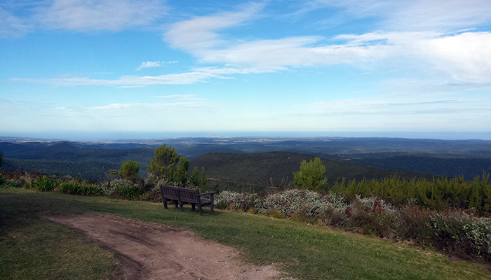 Wooden bench overlooking the vast Knysna forest and coastline