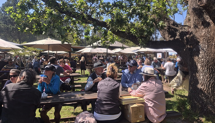 Visitors enjoying coffee and local food under shady trees at Harkerville Saturday Market