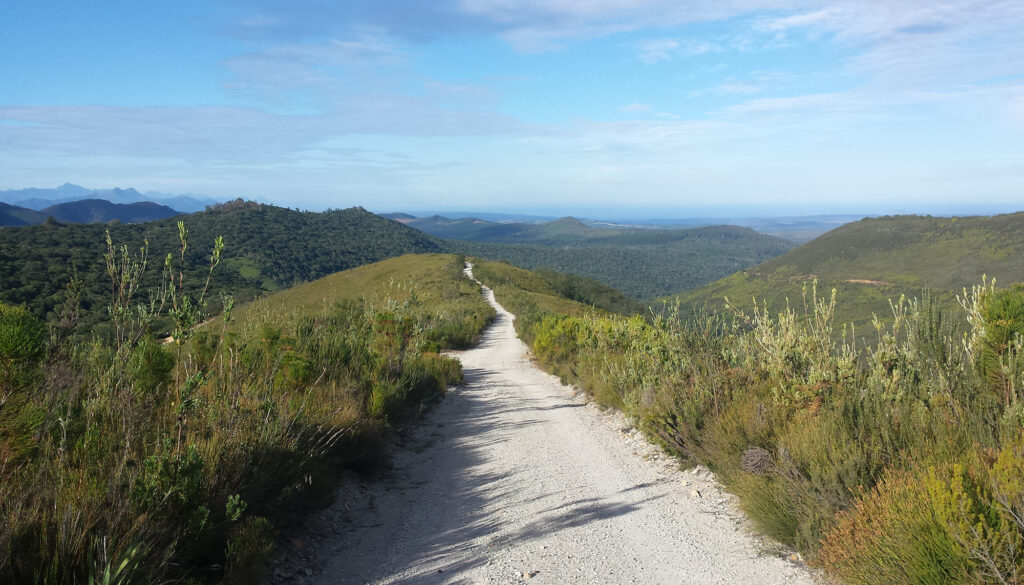 Gravel road leading up to Spitskop Viewpoint on Prince Alfred’s Pass, part of Knysna scenic drives.