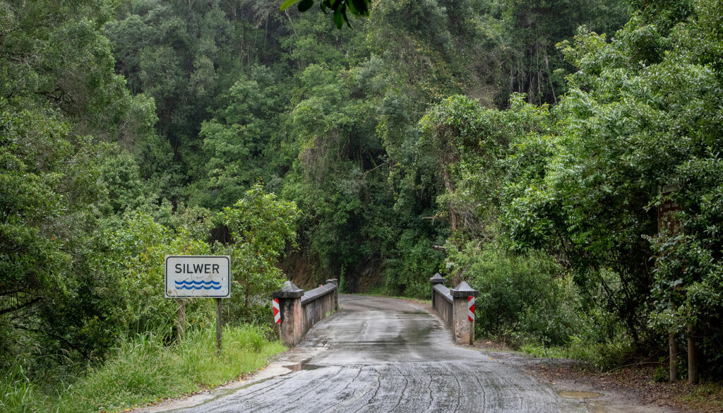Silver River Bridge along the Seven Passes Road, surrounded by indigenous forest.