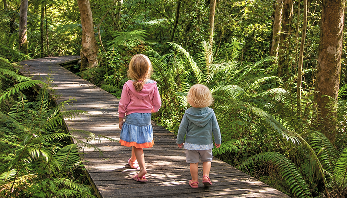 Children walking on a forest boardwalk near Knysna