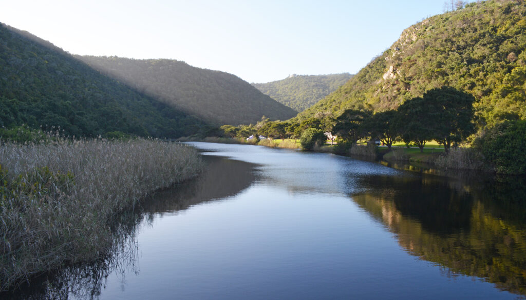 River view at Ebb and Flow in Wilderness National Park