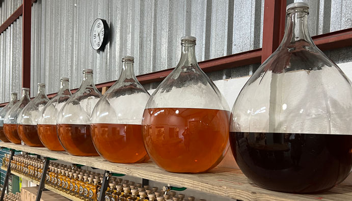 Glass vessels containing honey-based spirits at Eden Honey Distillery in Knysna