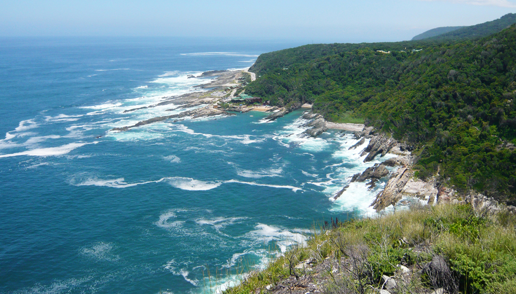 Rugged coastline and forest in Tsitsikamma National Park