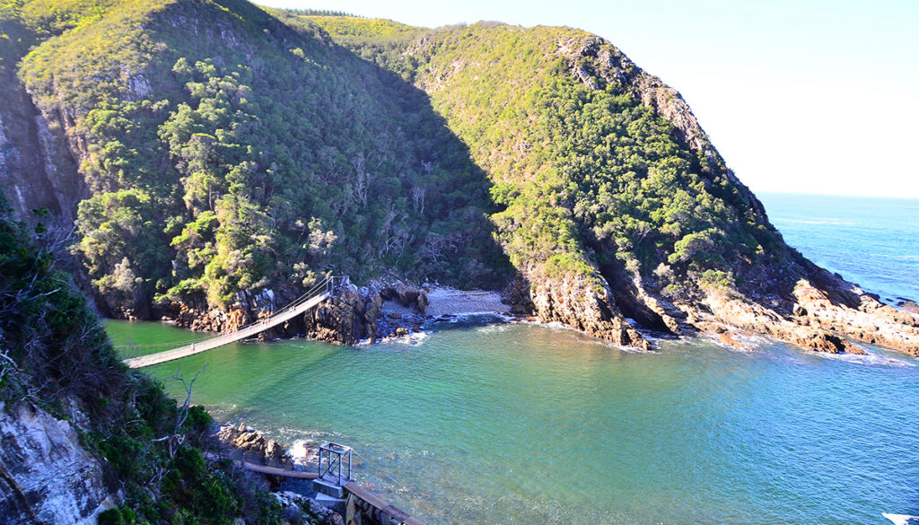 Coastal cove and forested cliffs at Storms River Mouth in Tsitsikamma National Park